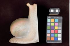 Foto einer Buchstütze in Schneckenform (NHMW-ZOO-MO-0081100-ETH-041)